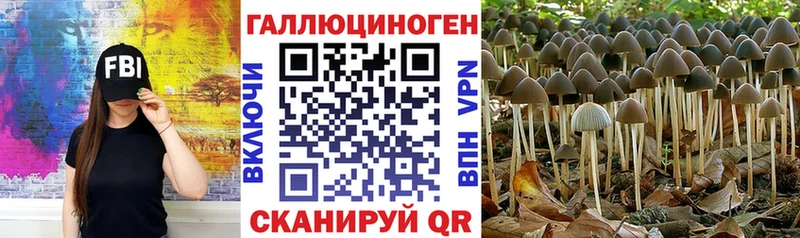 Псилоцибиновые грибы GOLDEN TEACHER  Реутов 